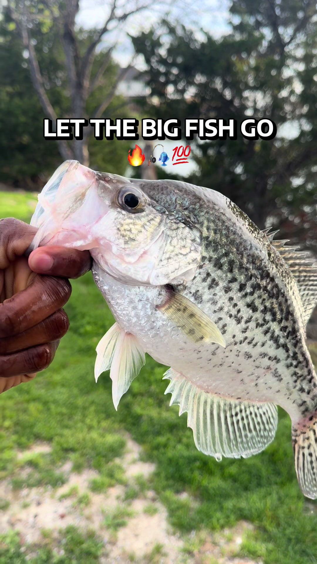 @Grateful Fishing Tv