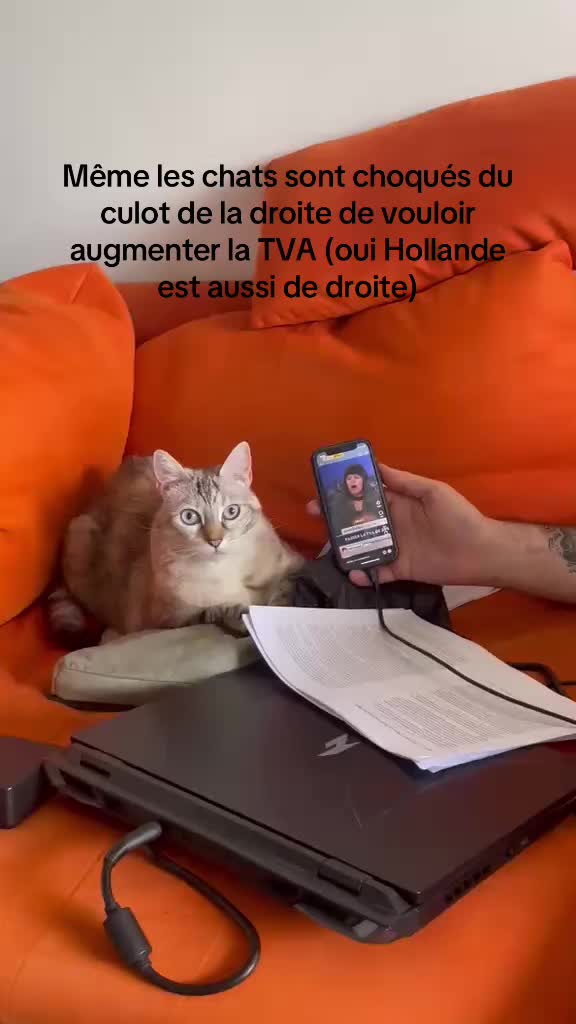 @Alma Dufour