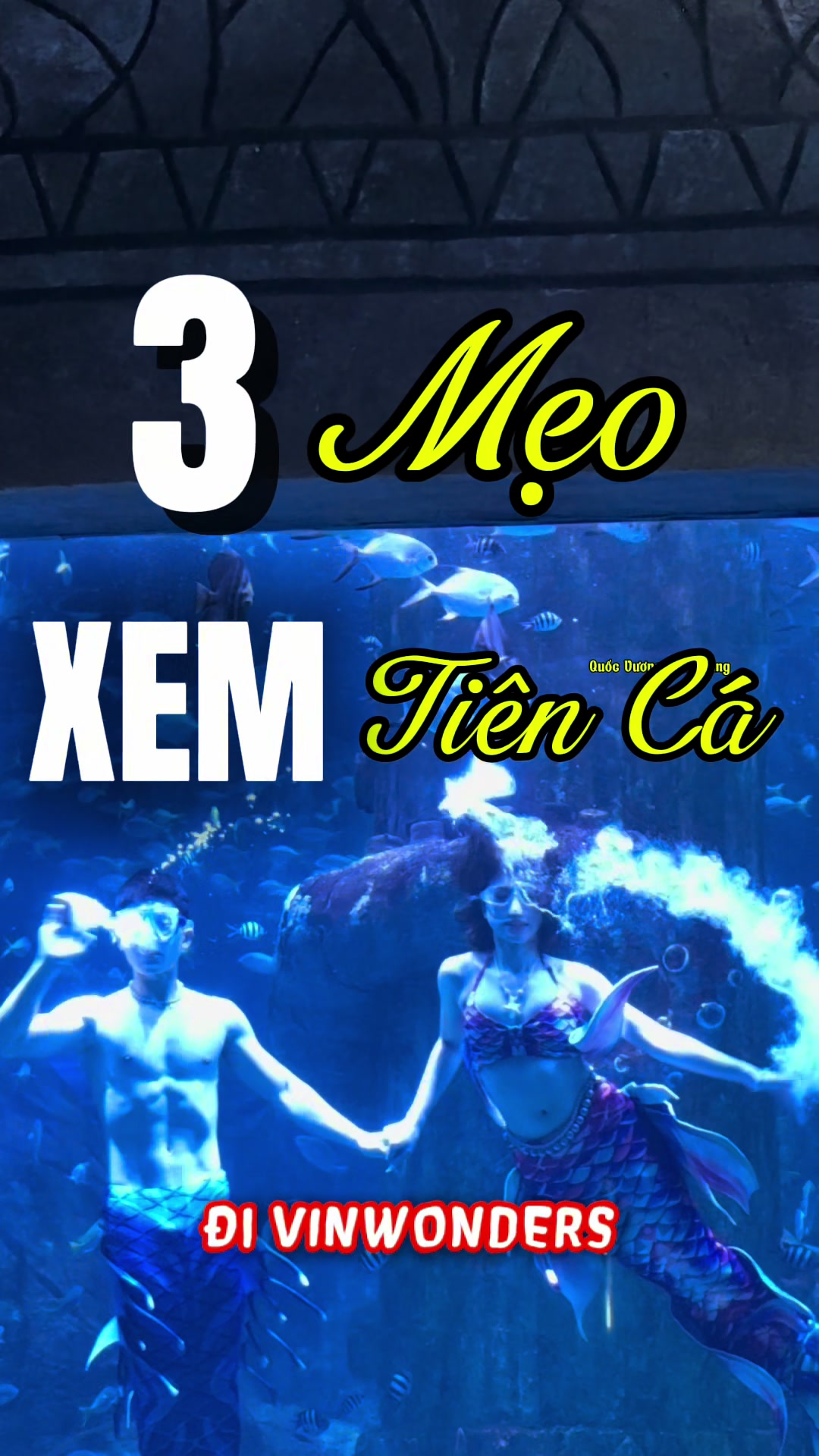 @Quốc Vương Nha Trang