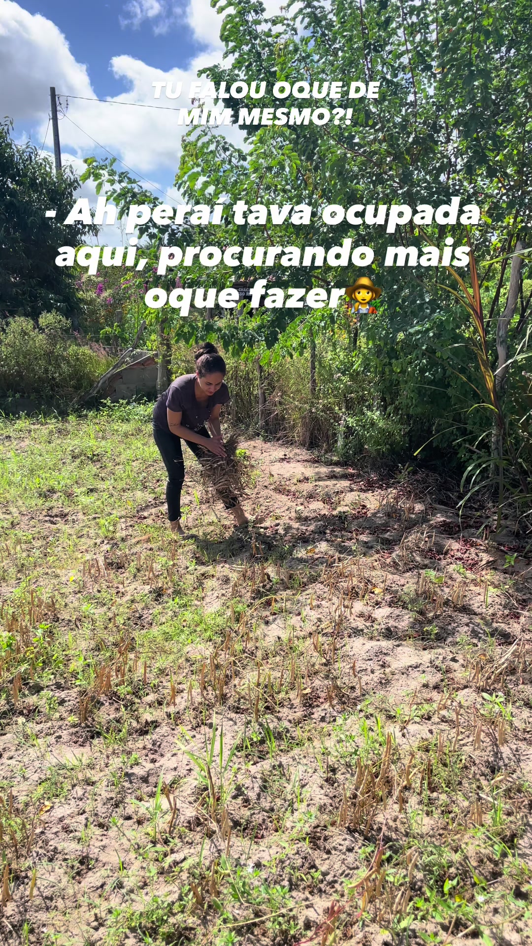 @eualinefernandess_
