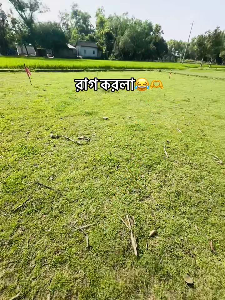 @🕊️
