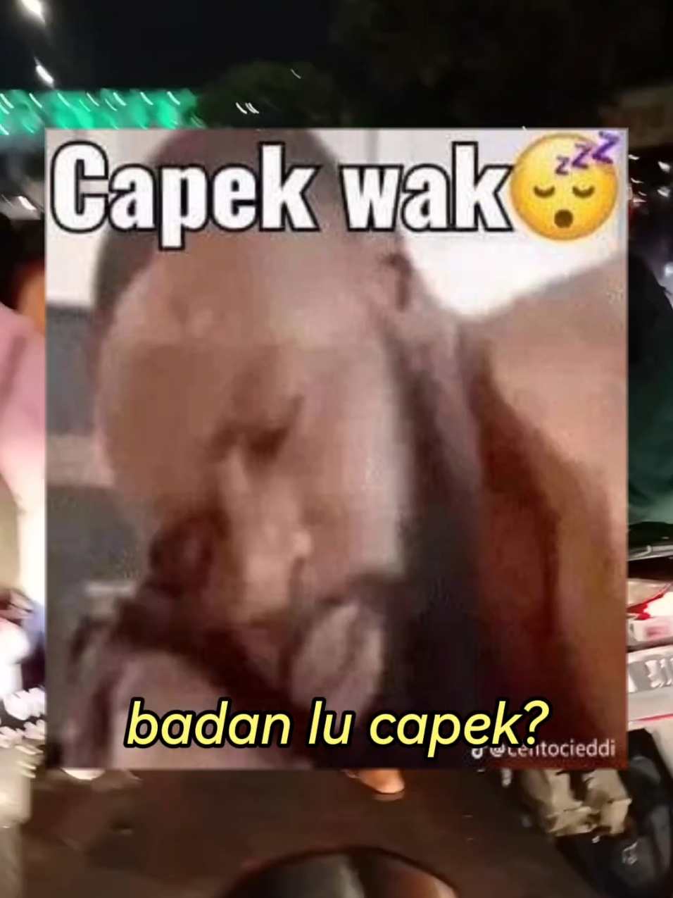 @Tukang Zercher