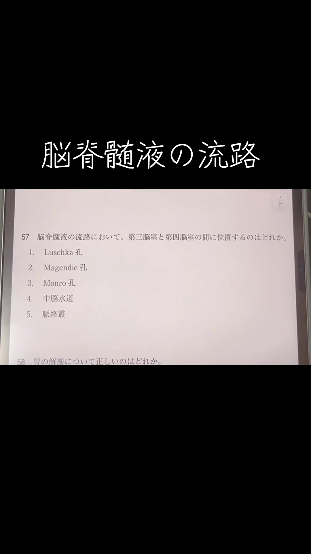 @第62回理学療法士国家試験(ネクストリハアカデミー)