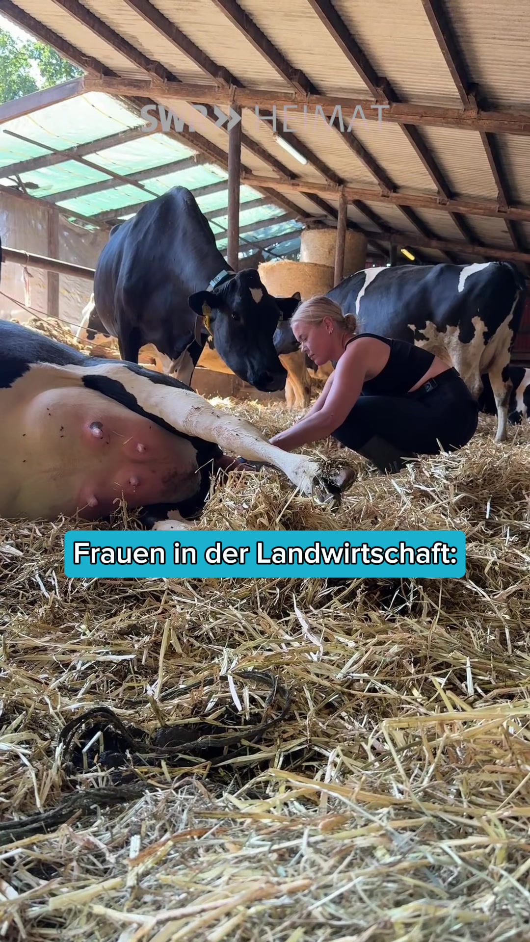 @Schwenks-Hofleben | SWR Heimat