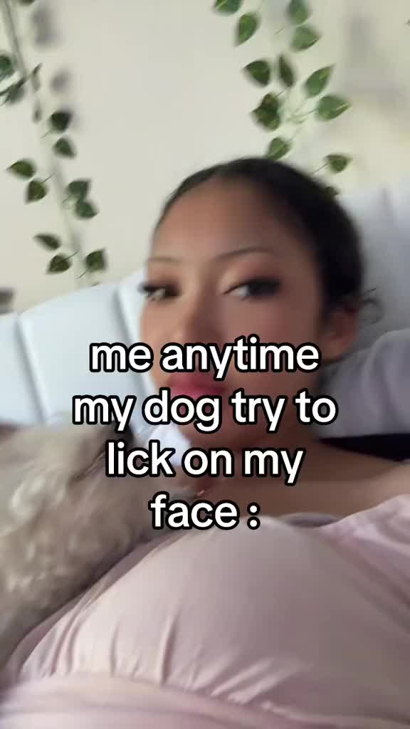 @likeacake