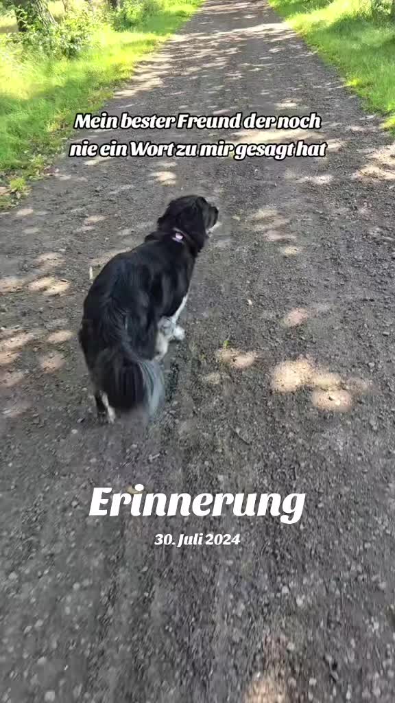 @Volvomädchen