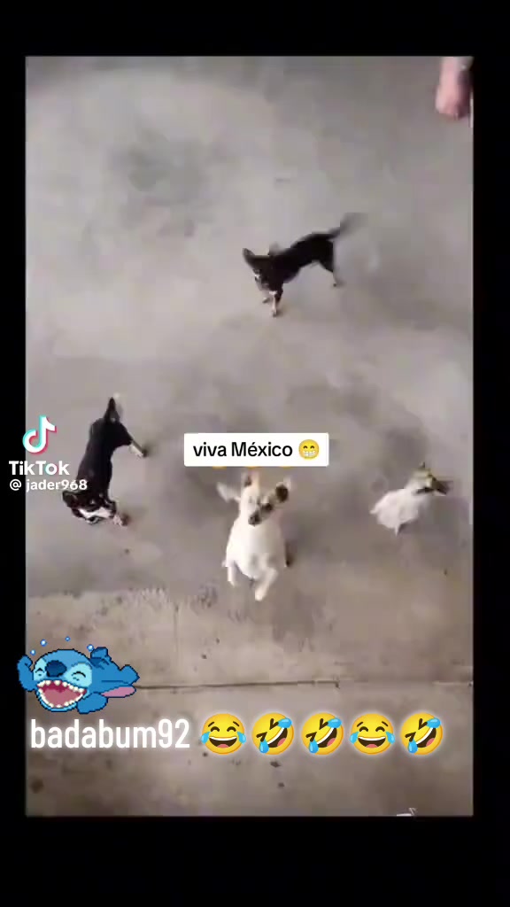 @🥀🥀🌹⚡ badabum92🇲🇽🧿🔮🎖️🏆