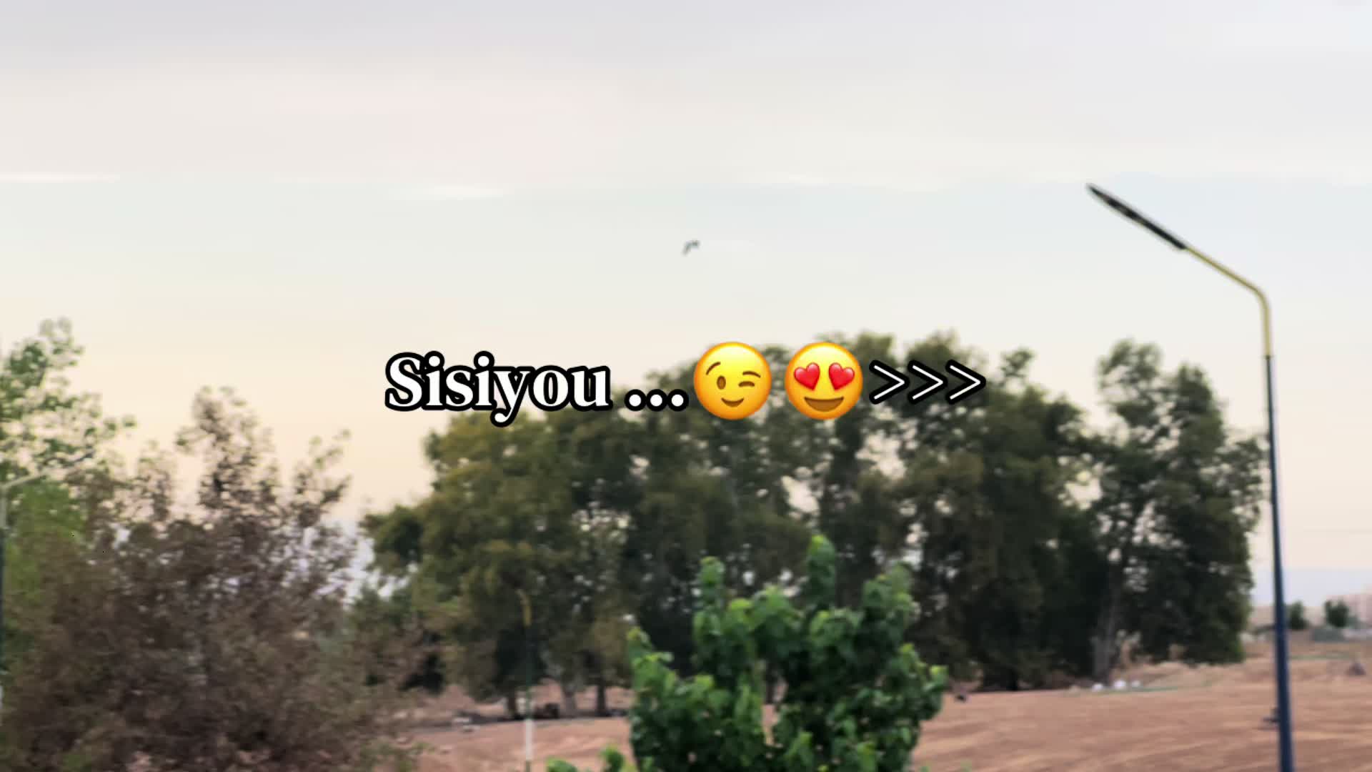 @M ๐ฑ