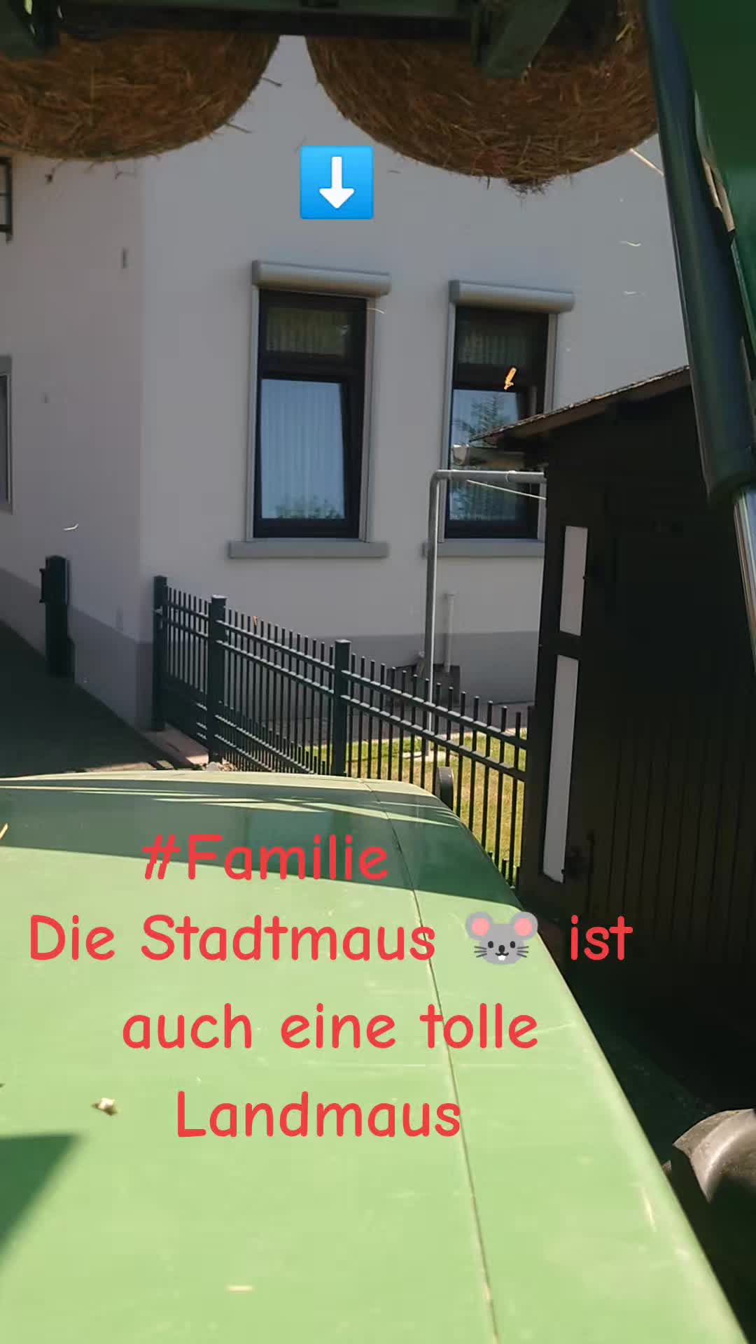 @Horstmannholzgroup
