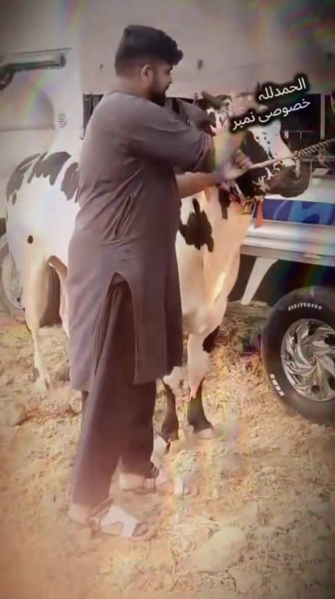 @syed بادشاہ 👑💯