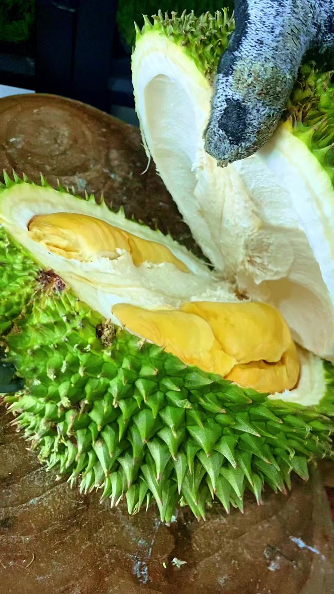 @Cicip Durian