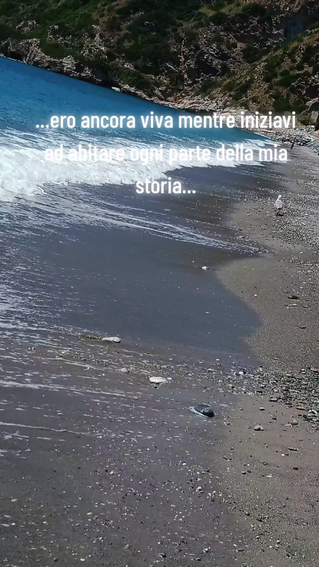 @𝘔𝘰𝘯𝘪𝘢 𝘈𝘷𝘰𝘭𝘪𝘰