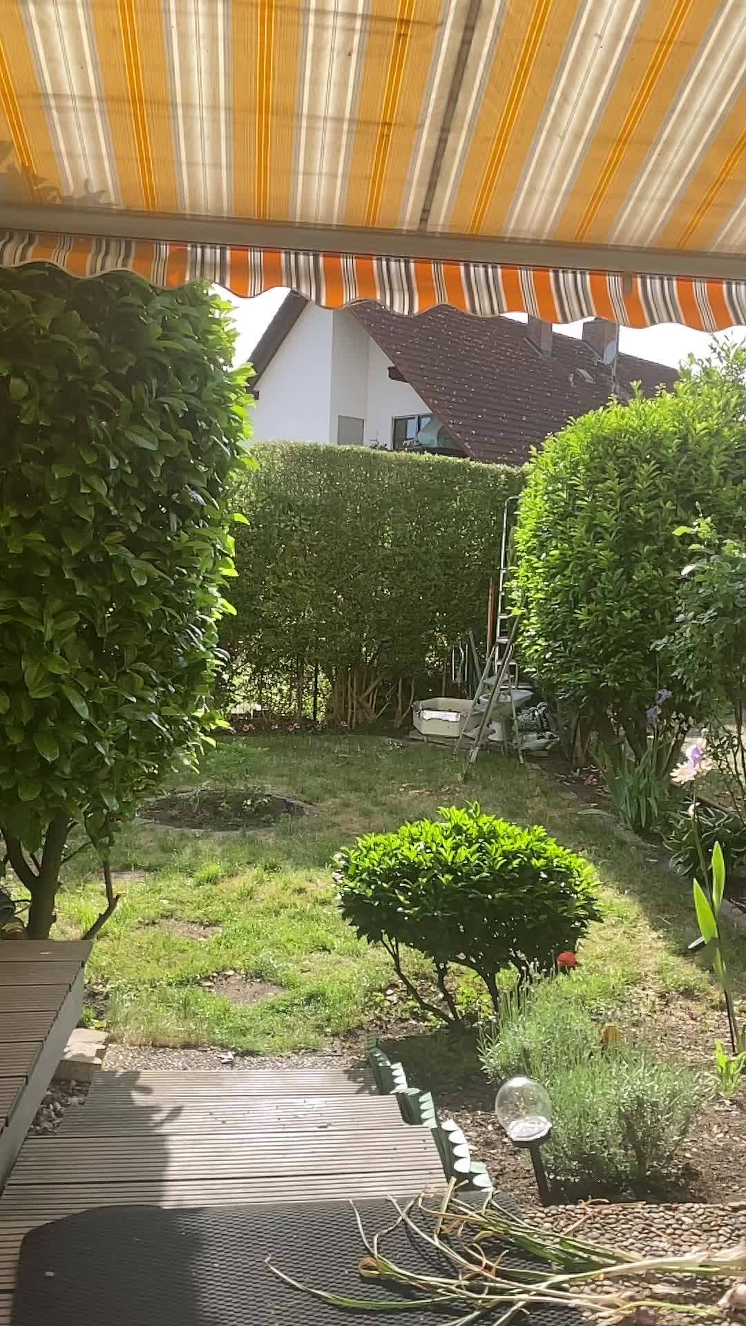 @Bhavneet Mann #germany