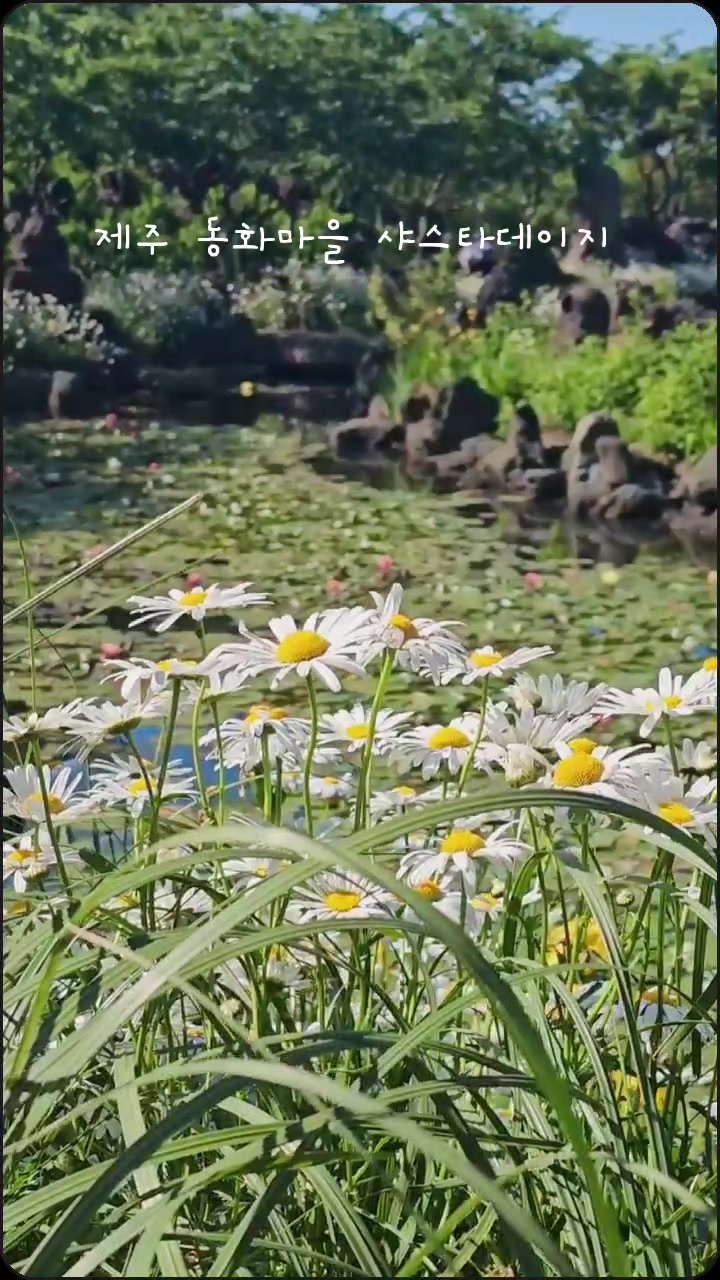 @조이슐랭