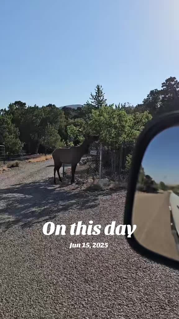 @NM Hunter