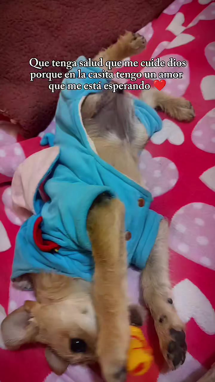 @LIZZ🥭
