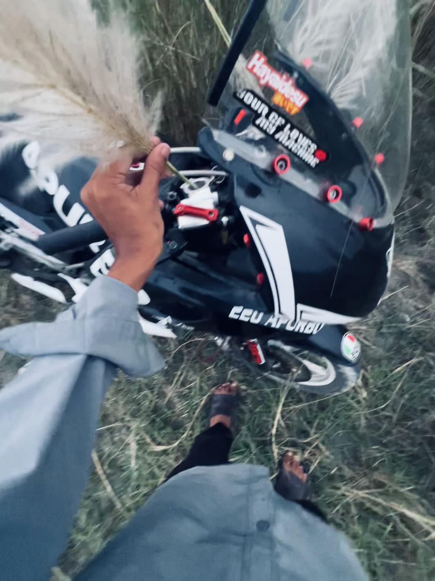 @彡[220ᴀᴘᴜʀʙᴏ]彡