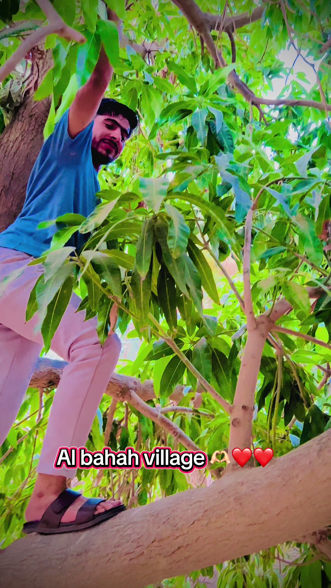 @Hilal khan yousafzai
