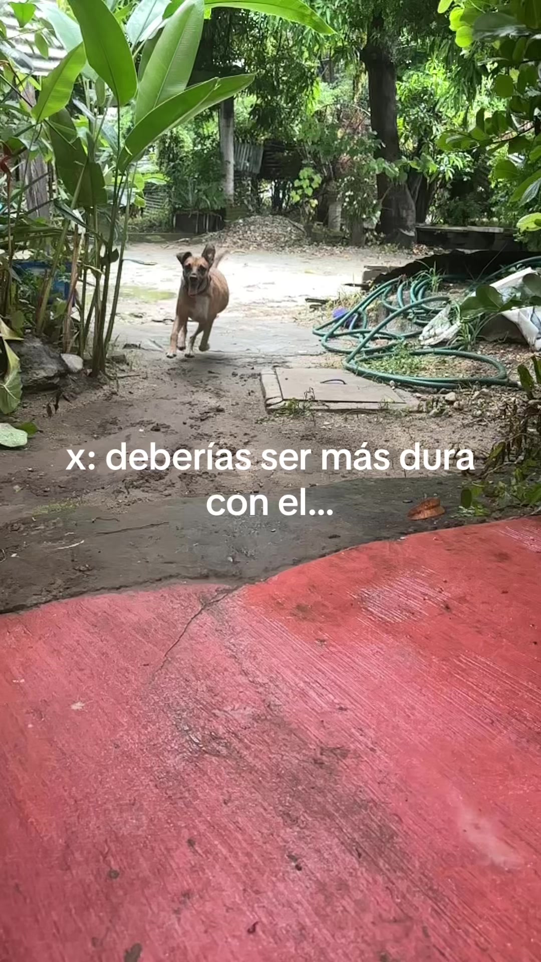 @Blanca Chavez