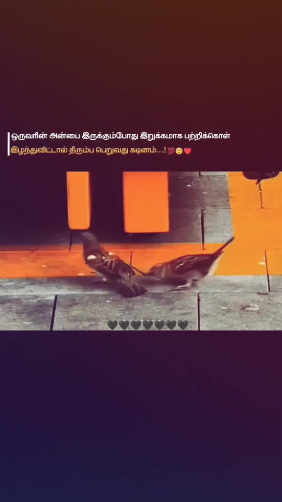 @❤️⃝❥꣘ᰢᮀ། ೭ꩢ᭄𑂞ᮀ ࿐ခ།ဖᮀဖ𑂞𝆺𝅥⃝🌍