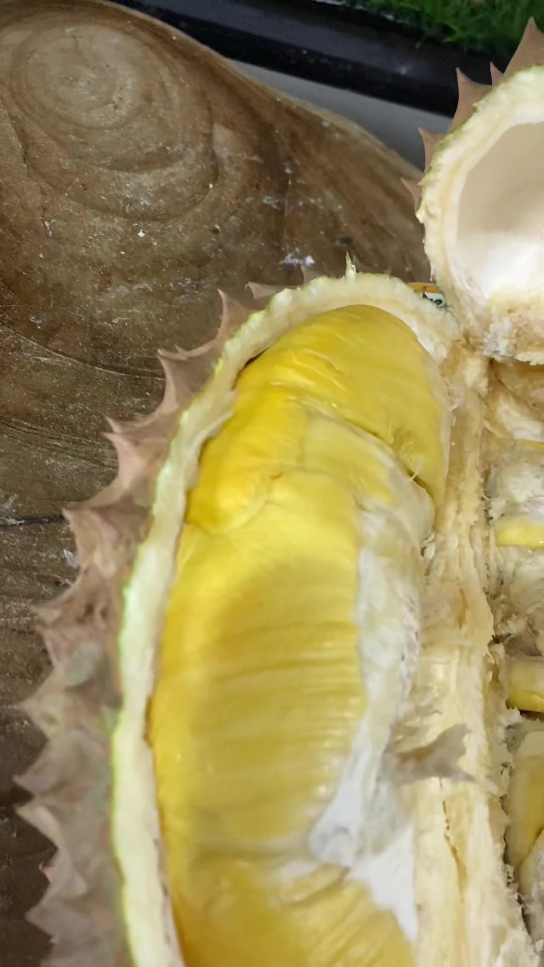 @Cicip Durian