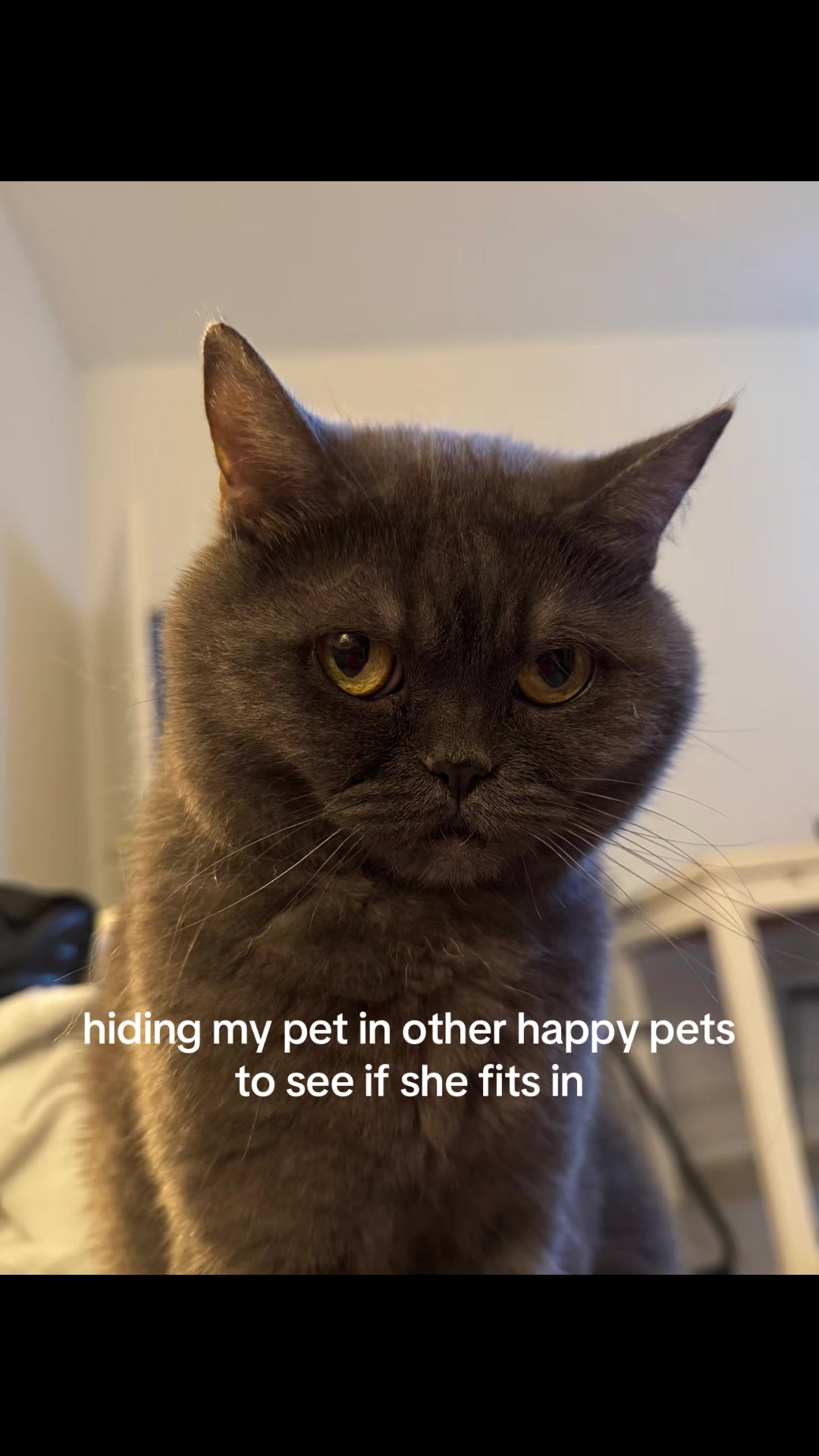 @theresa