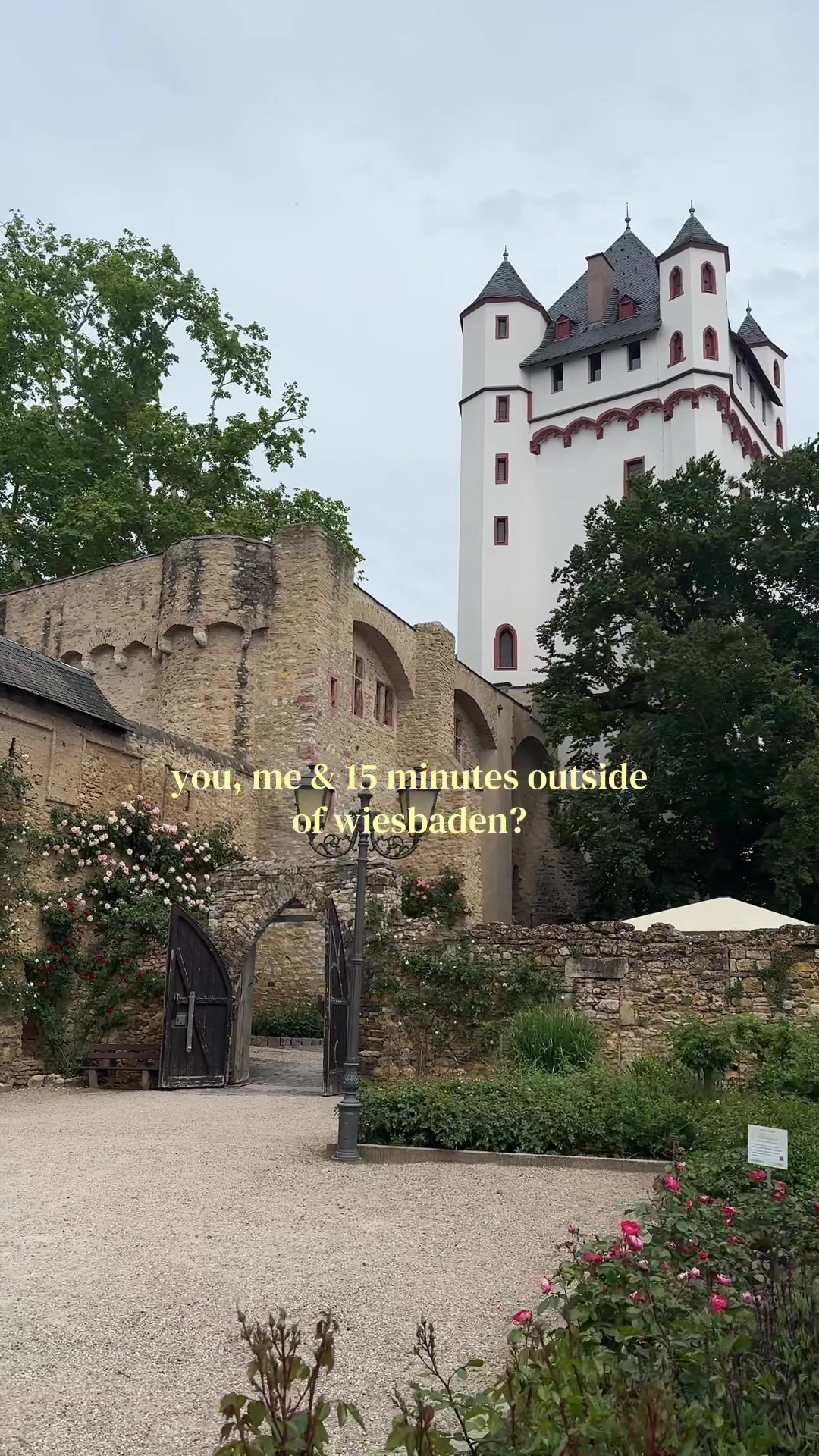 @annika🦦