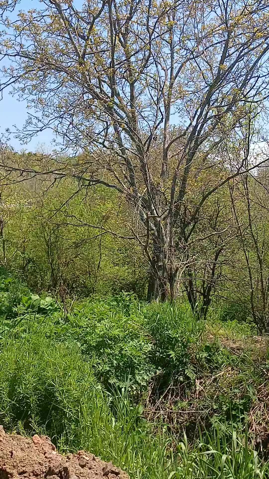 @🌙AY İŞIĞI🌙
