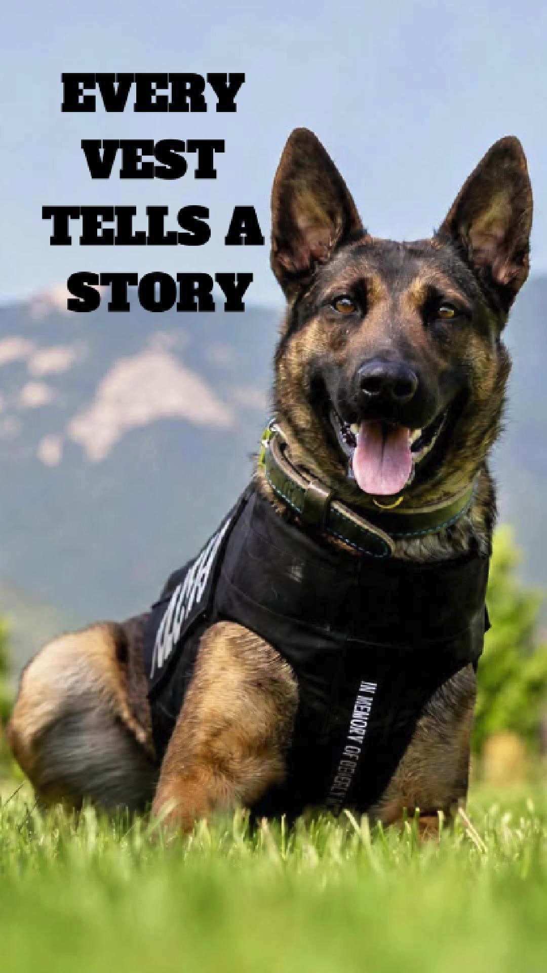 @Vested Interest in K9s, Inc.