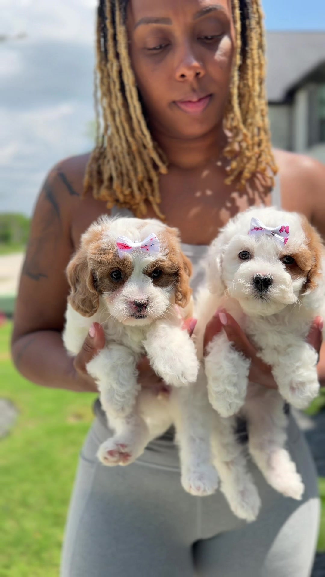 @Plush Pups By Reeds