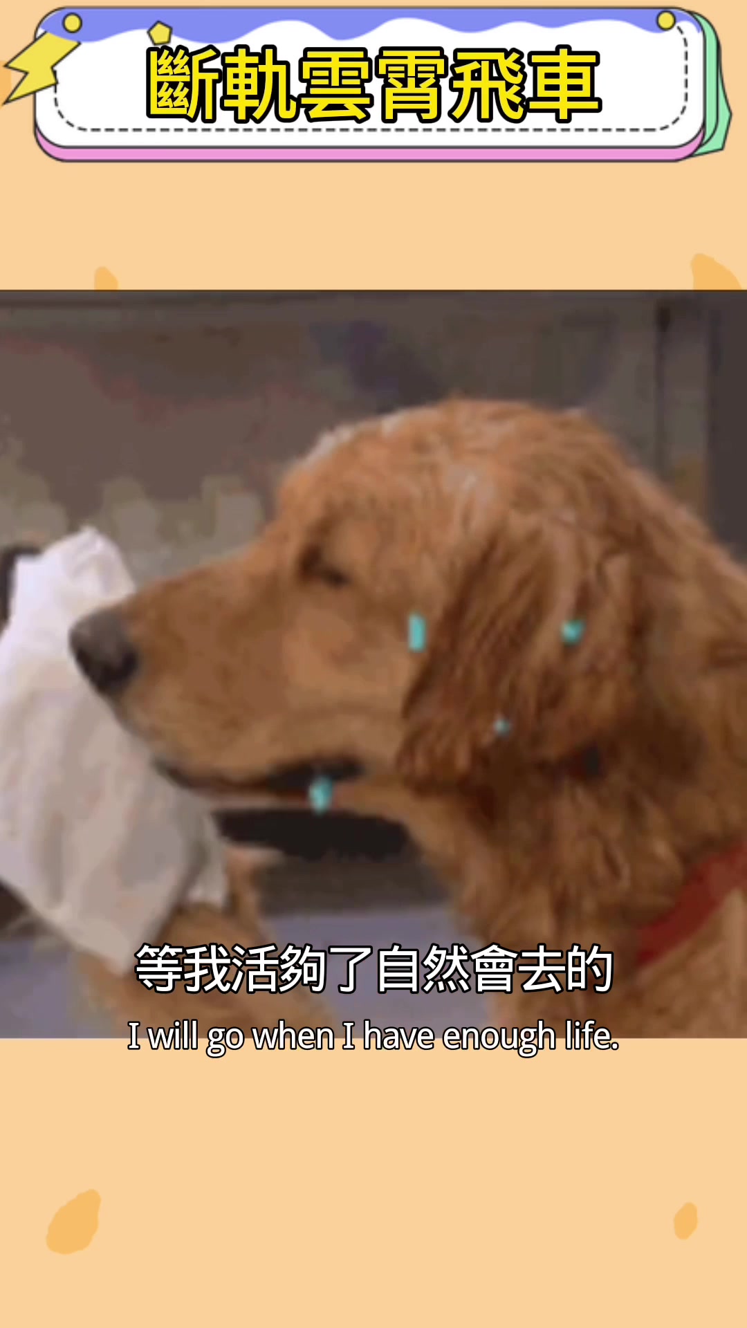 @聶禎