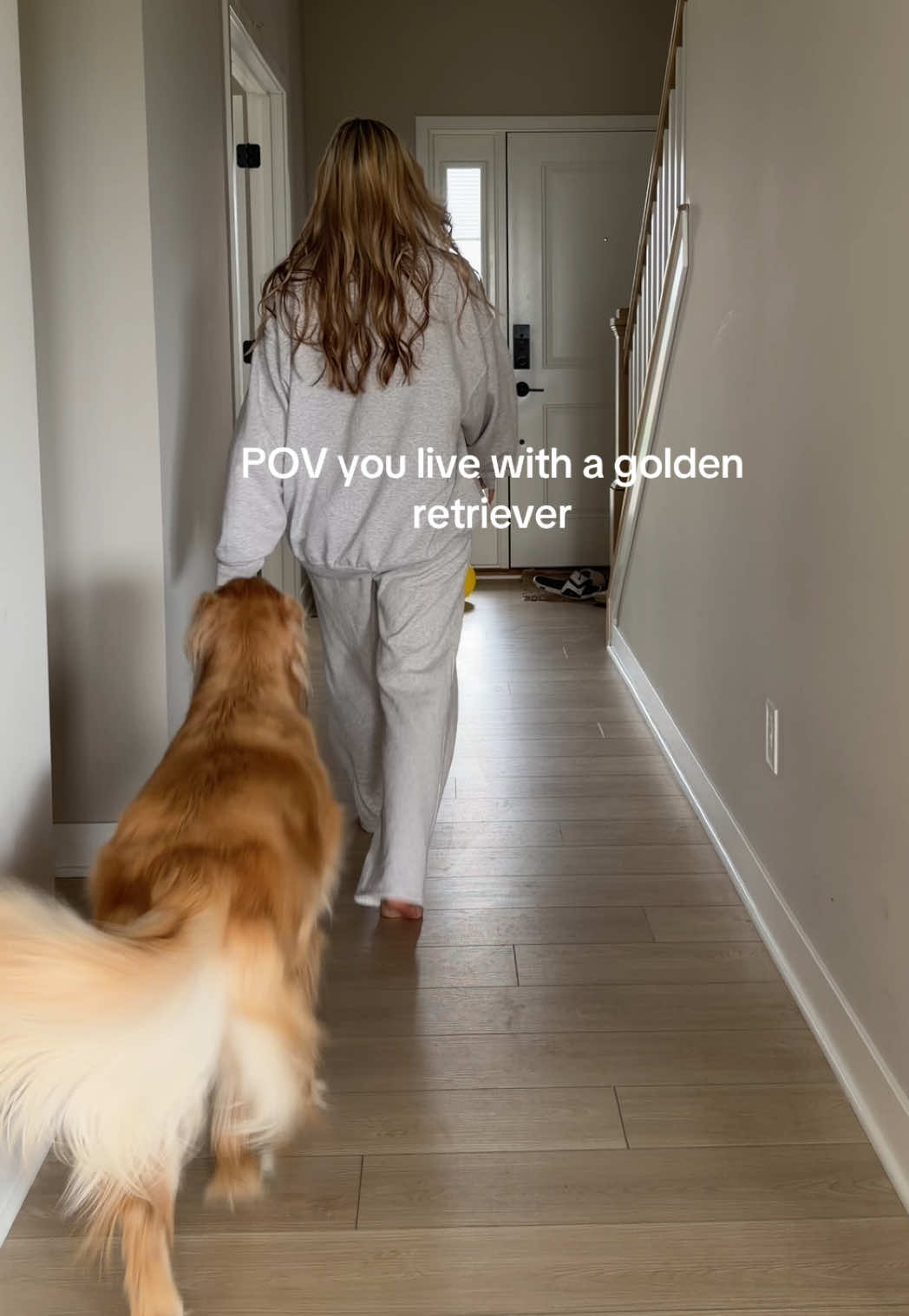 @novathegoldenn