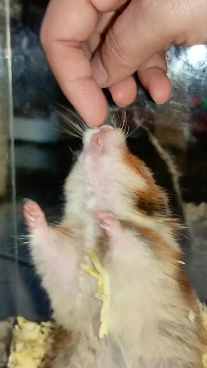 @Pikaaaduuttt