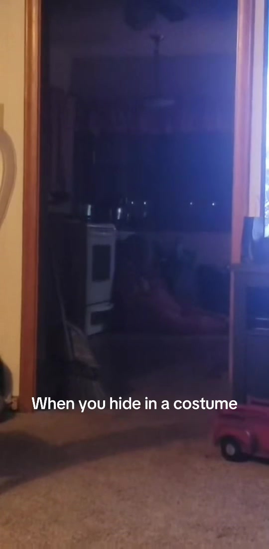 @The Chaos Crew
