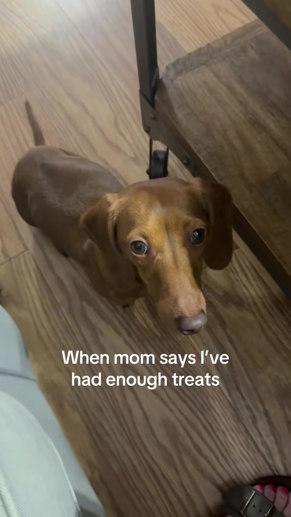 @Sarah and the Peanuts