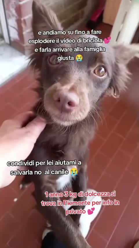 @KIRA❤️LEYLA💙