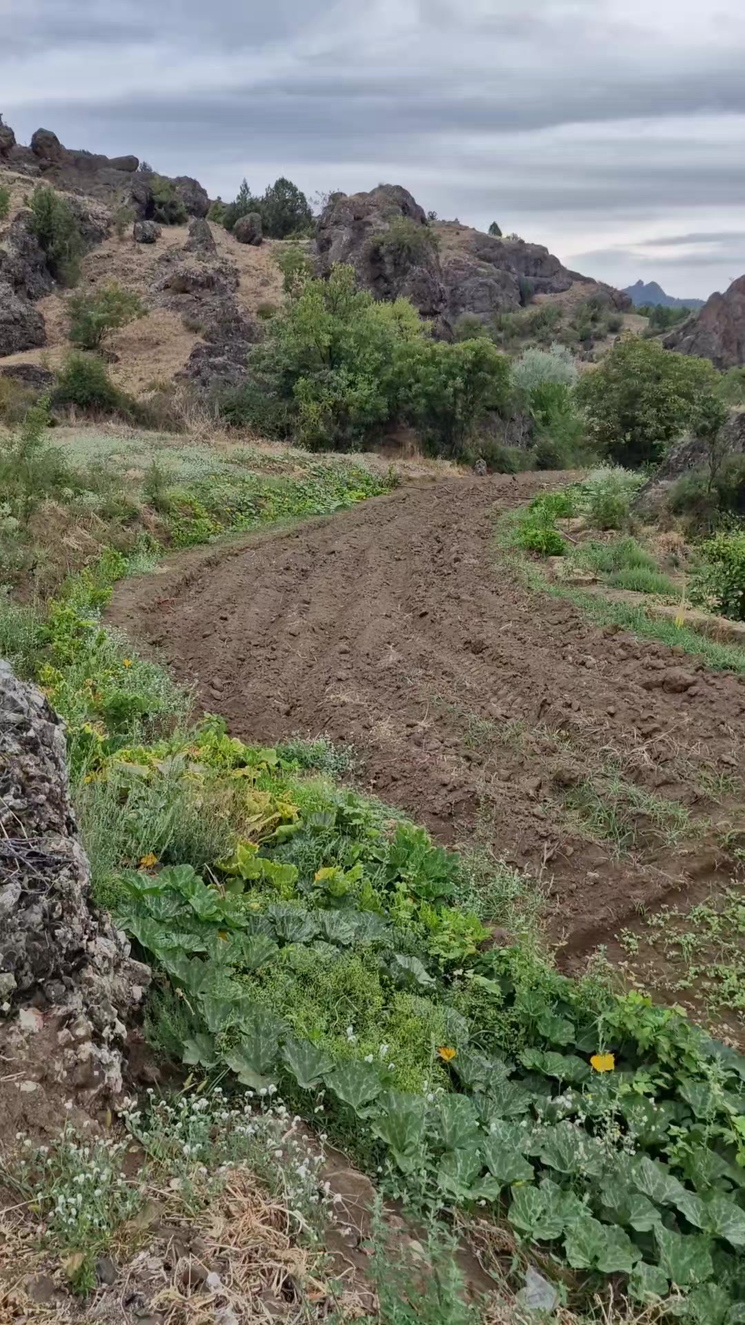 @Hasan Akkaş