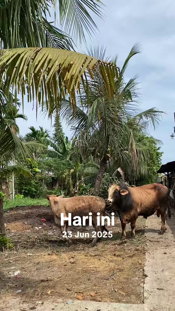 @Al-Barokah_farm