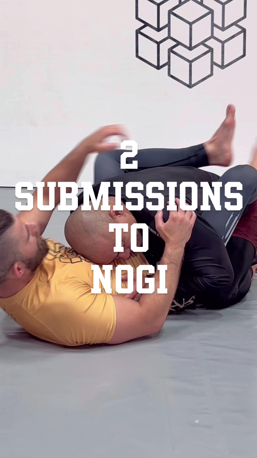 @Benceps BJJ