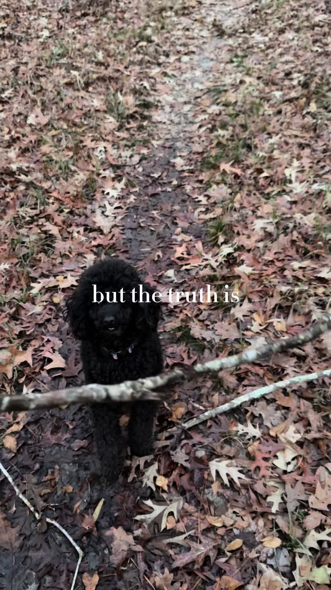@cashandbentley_