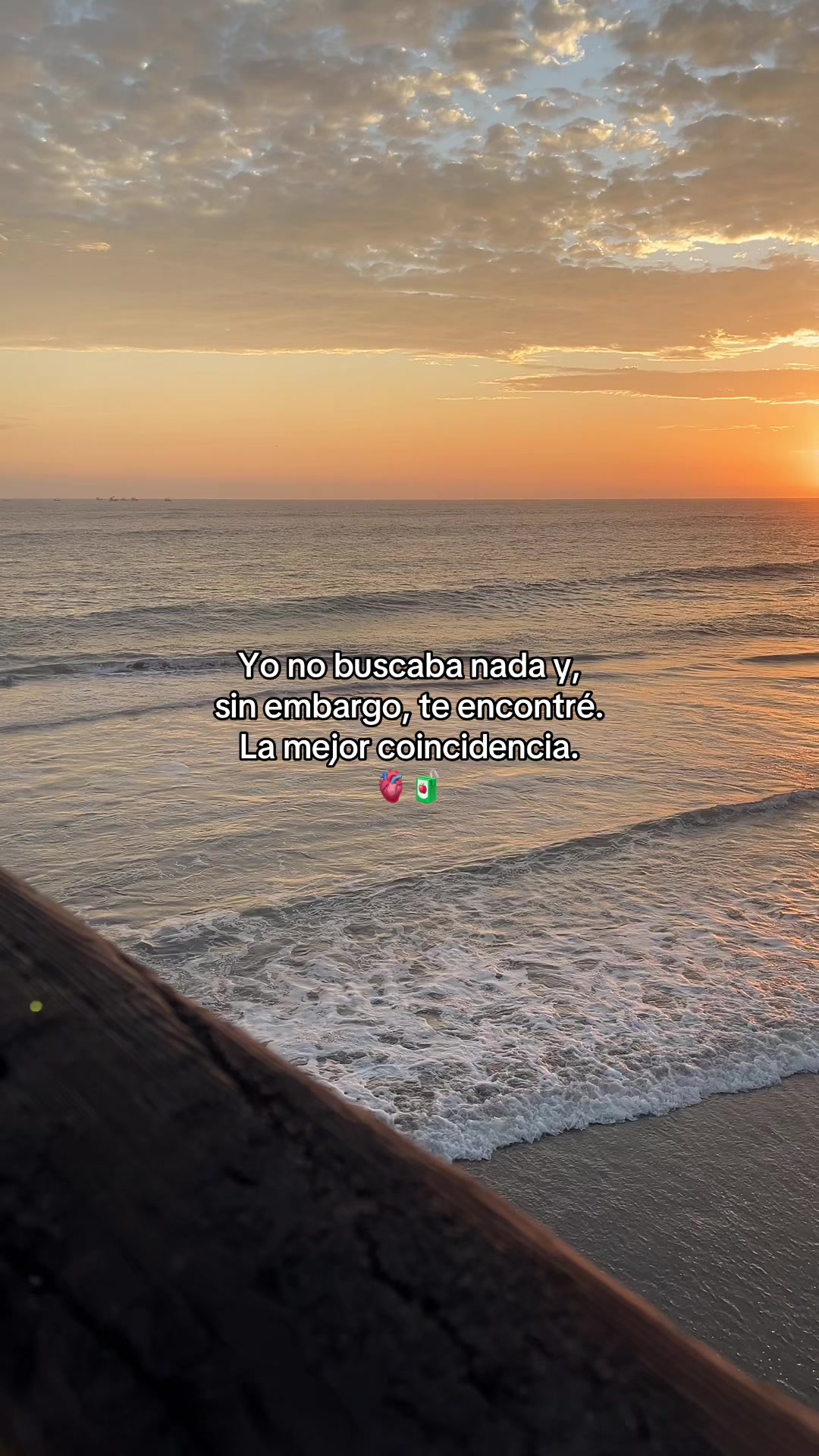 @Gatocix 🐱
