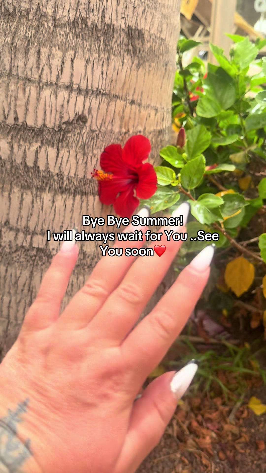 @ANA&ANA