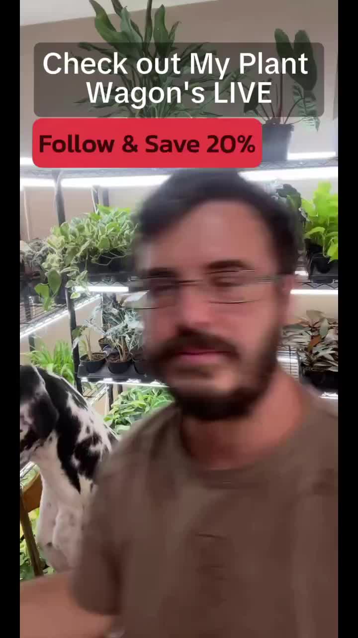 @JT Plants 🪴