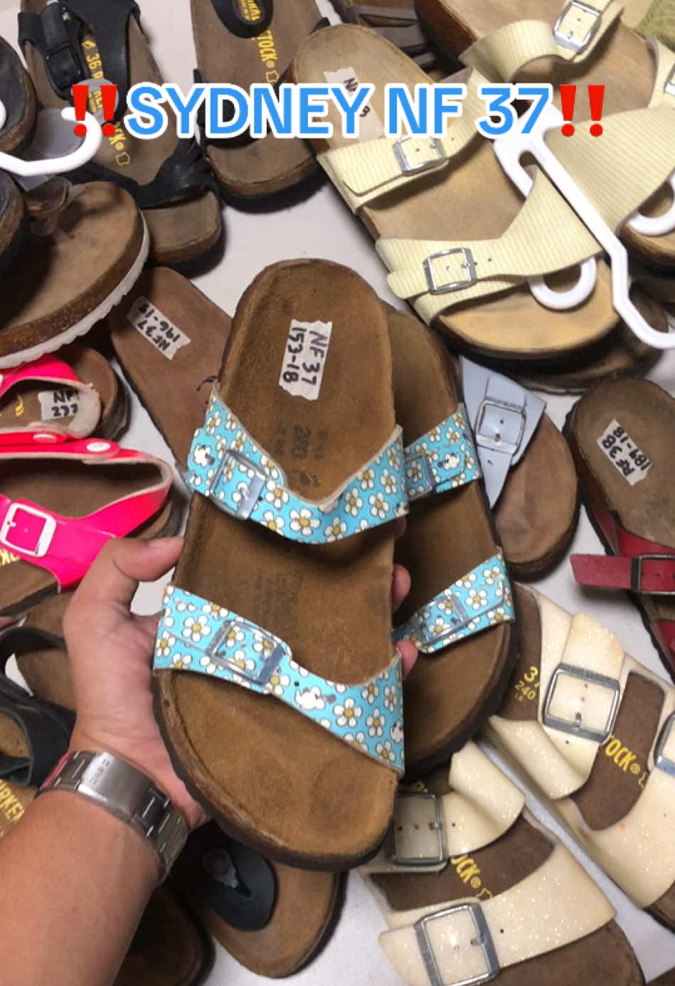 @DAILY BIRKS