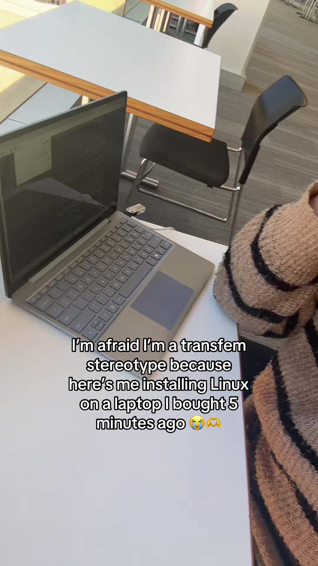 @Bryn 🏳️⚧️🦊(she/they)