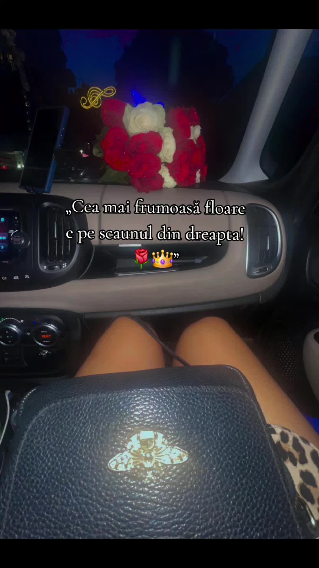 @George Cristian✅️