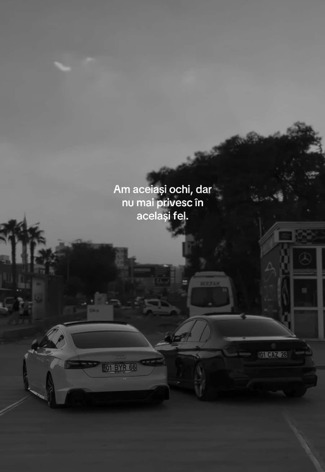 @α∂утzυ