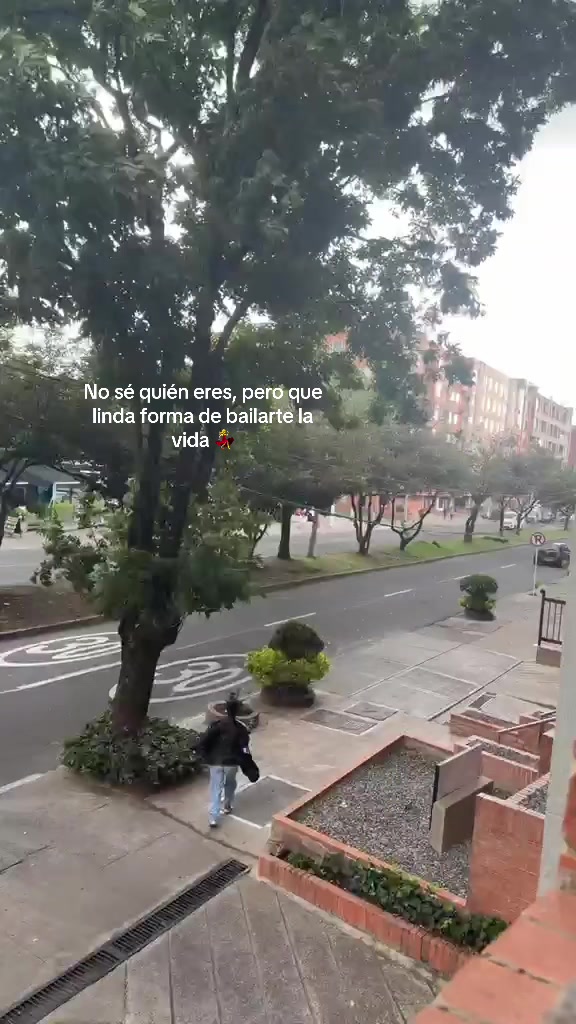 @Alejandra V
