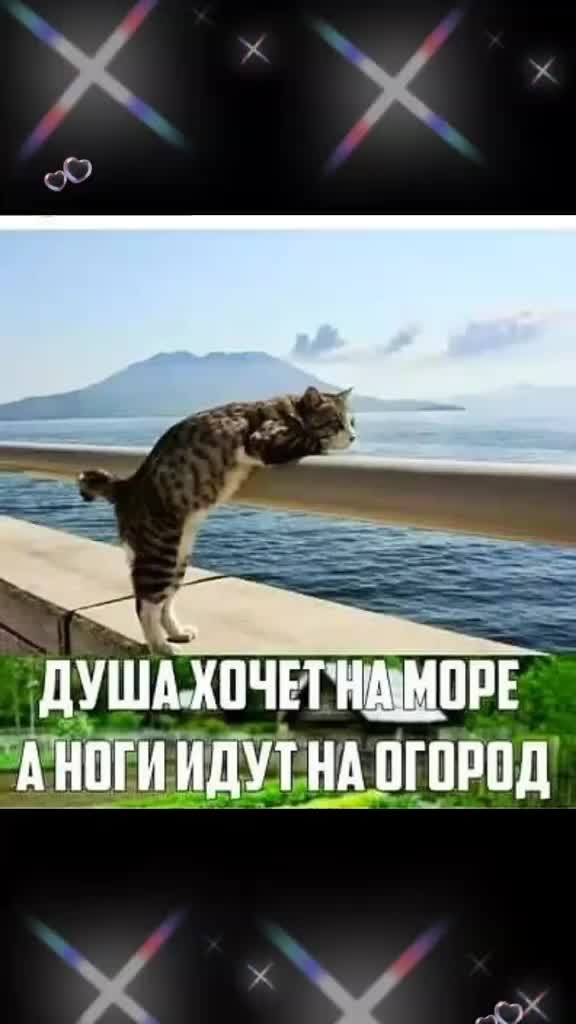 @Елена