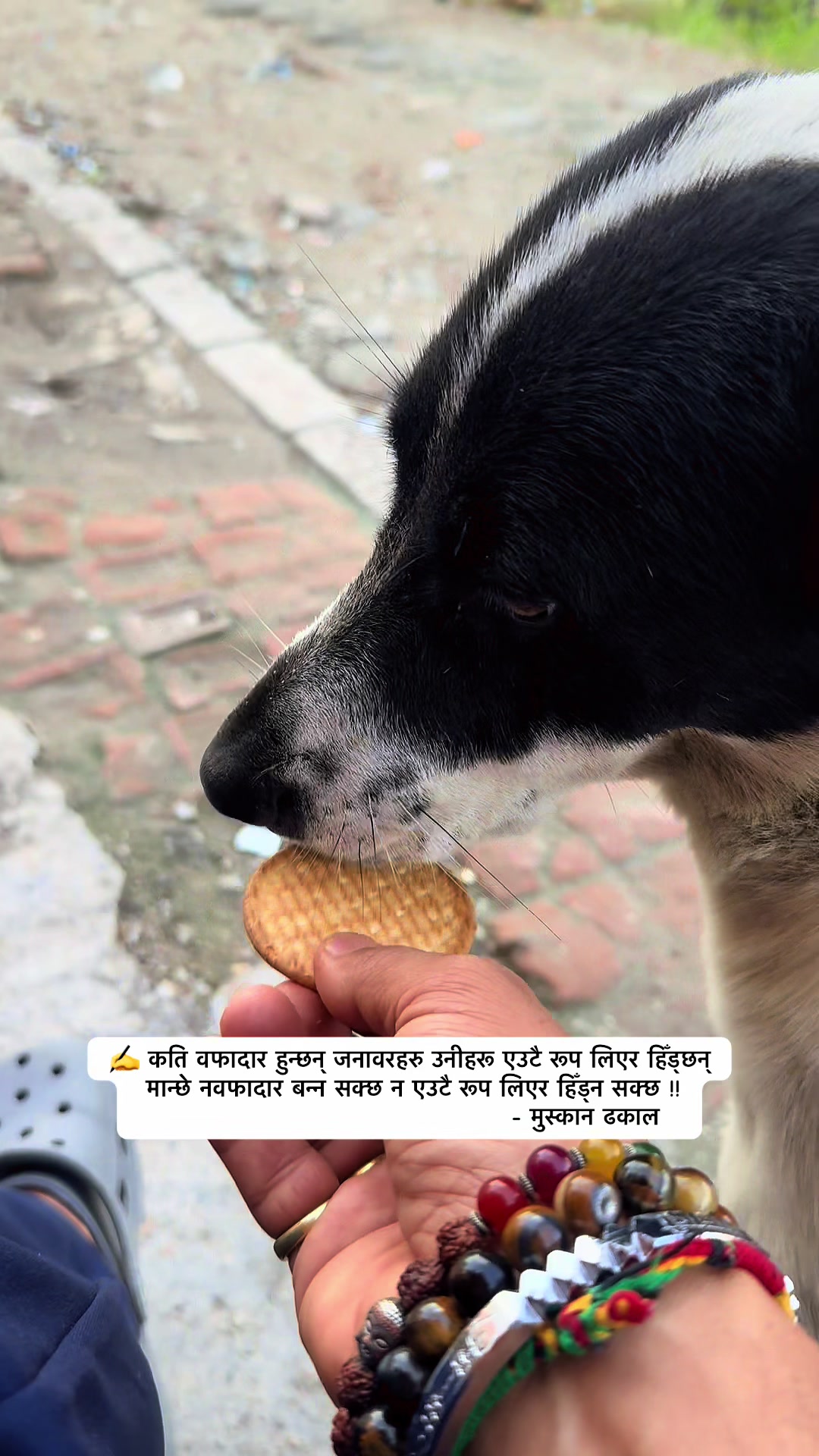 @muskandhakal14
